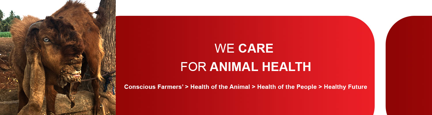 ANIMAL HEALTH